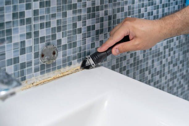 Best Fast Mold Removal  in Somerville, MA