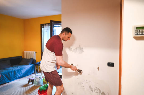 Best Attic Mold Removal  in Somerville, MA